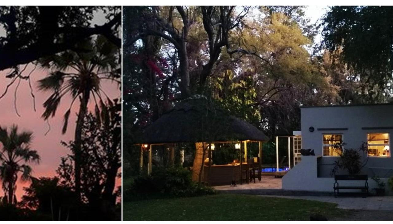 The Maun Studios Exterior foto