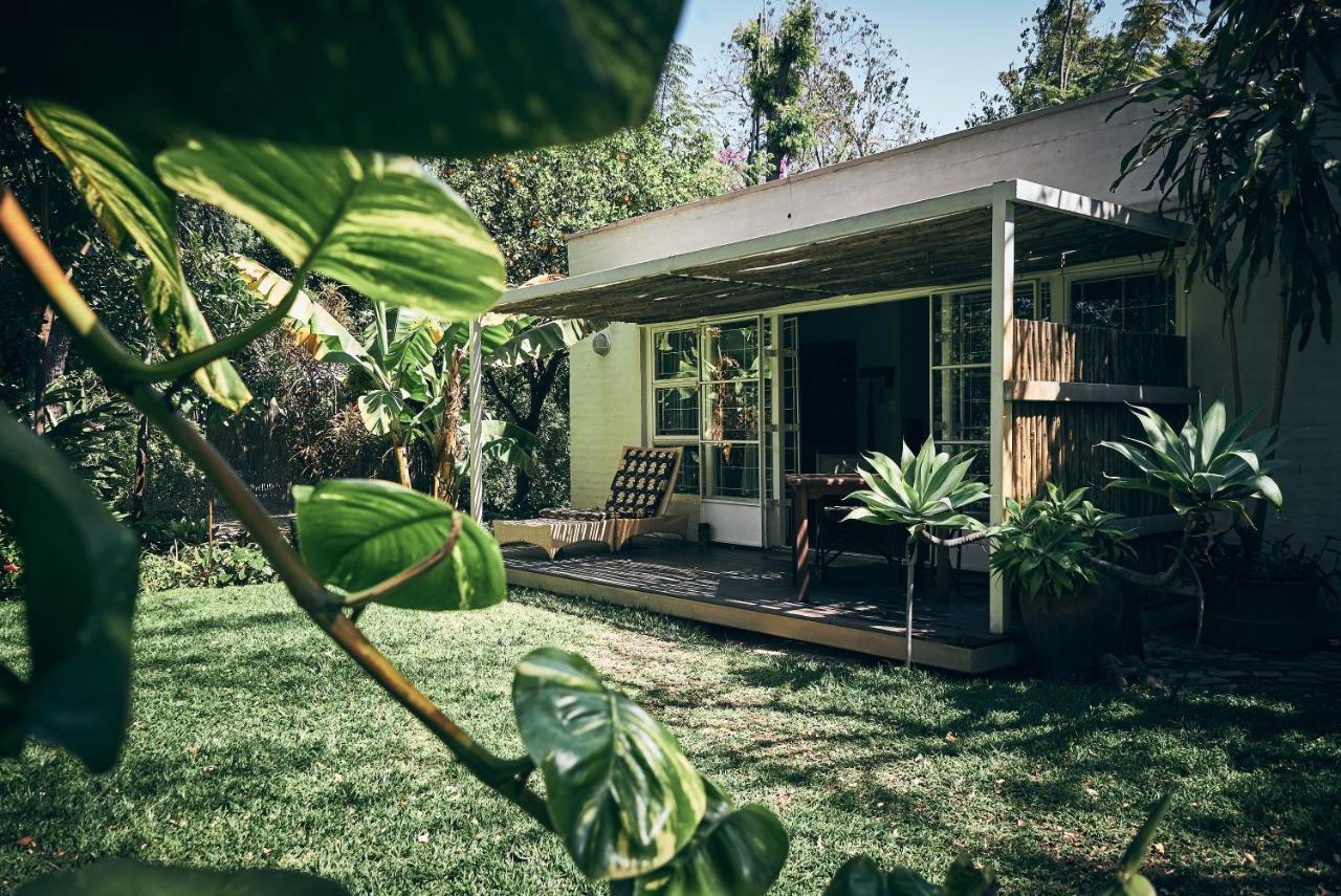 The Maun Studios Exterior foto